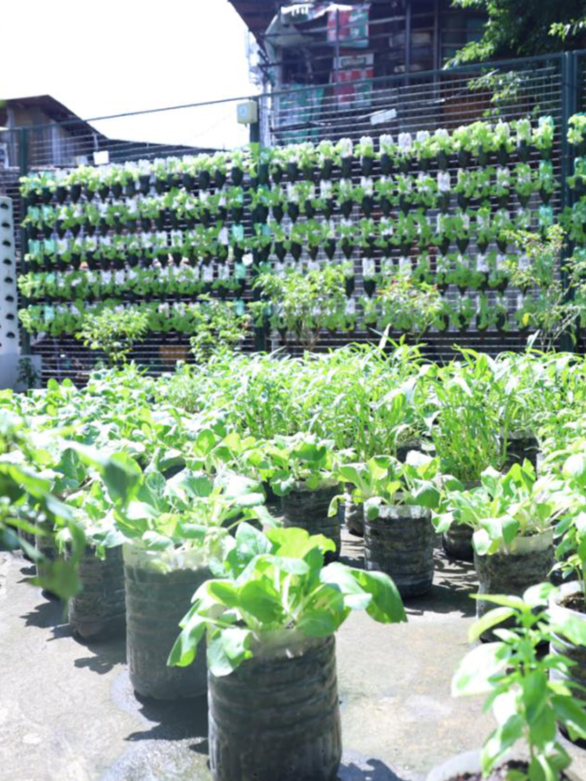 Mission Vision and Core Values 7 2025